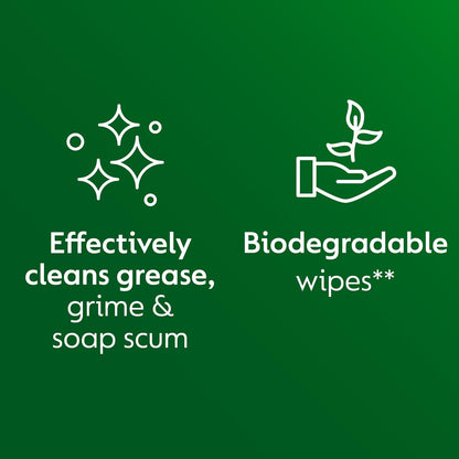 Protect 24 Multipurpose Antibacterial Wipes, 5 Pack of 80, Total 400, Long-Lasting Germ Protection, Ideal for Home, Office, Travel, First Aid Bag Essential