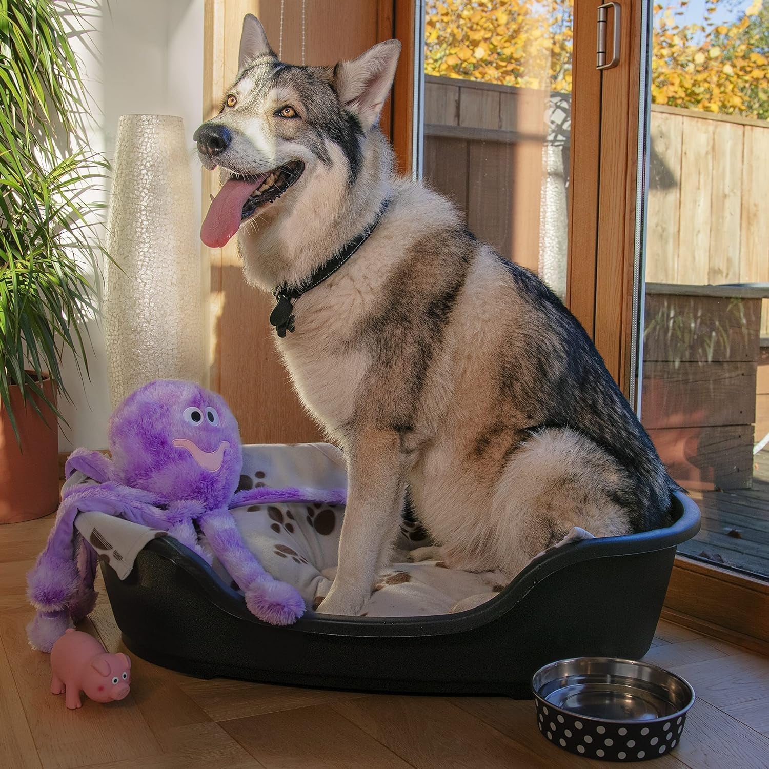 Plastic Dog Bed, Black, Small (60 Cm)