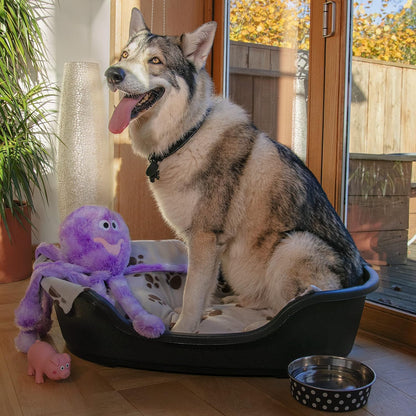 Plastic Dog Bed, Black, Small (60 Cm)