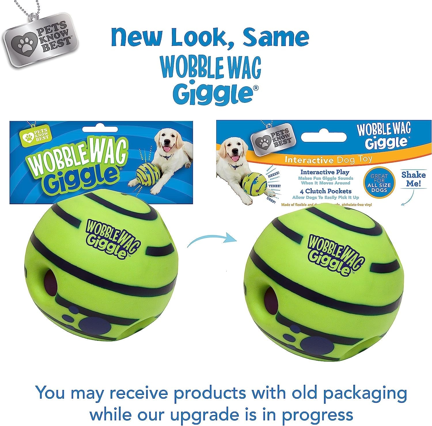 Allstar Innovations Ball, Dog Toy, as Seen on TV