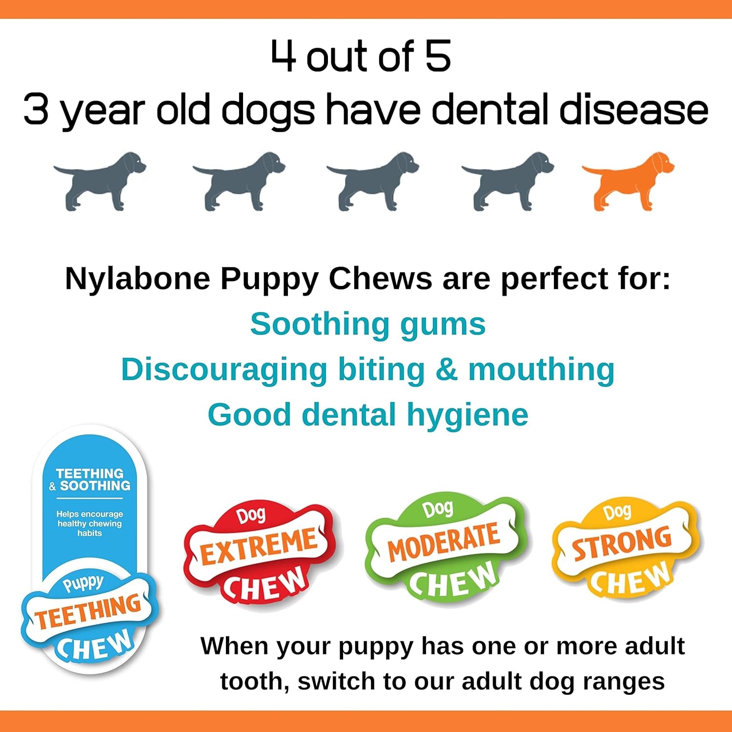 Puppy Starter Kit, Pack of 3 Dental Dog Chew Bones, Teething, Gentle, Graduate, Small, for Puppies up to 11 Kg