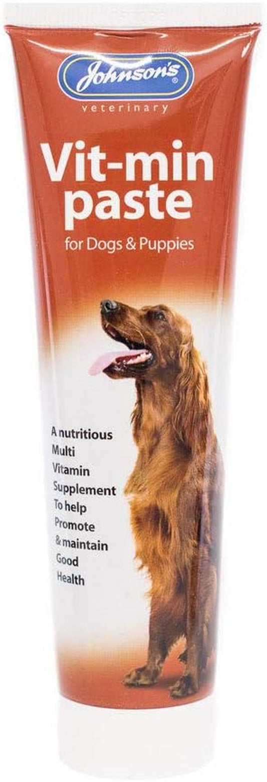 Johnsons Vit-Min Paste Dogs 100Gm