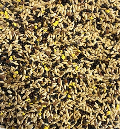 200G MIXED CANARY SEED MIXED CAGE BIRD FOOD SLJ