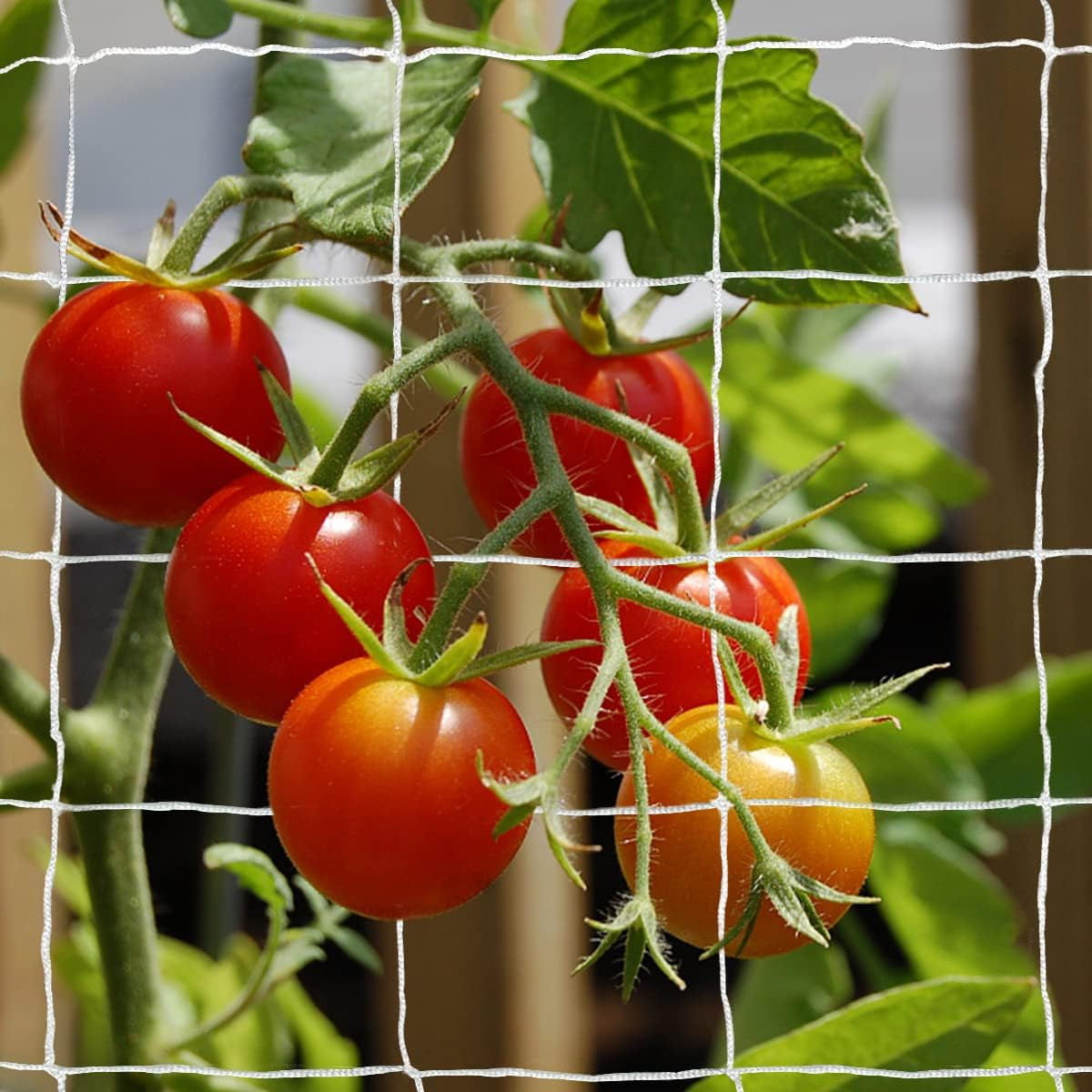 Plant Support Climbing Garden Trellis Netting Grow Tents 5Ft X 30Ft, Heavy-Duty Polyester Garden Plant Climbing Net Soft Mesh Twine