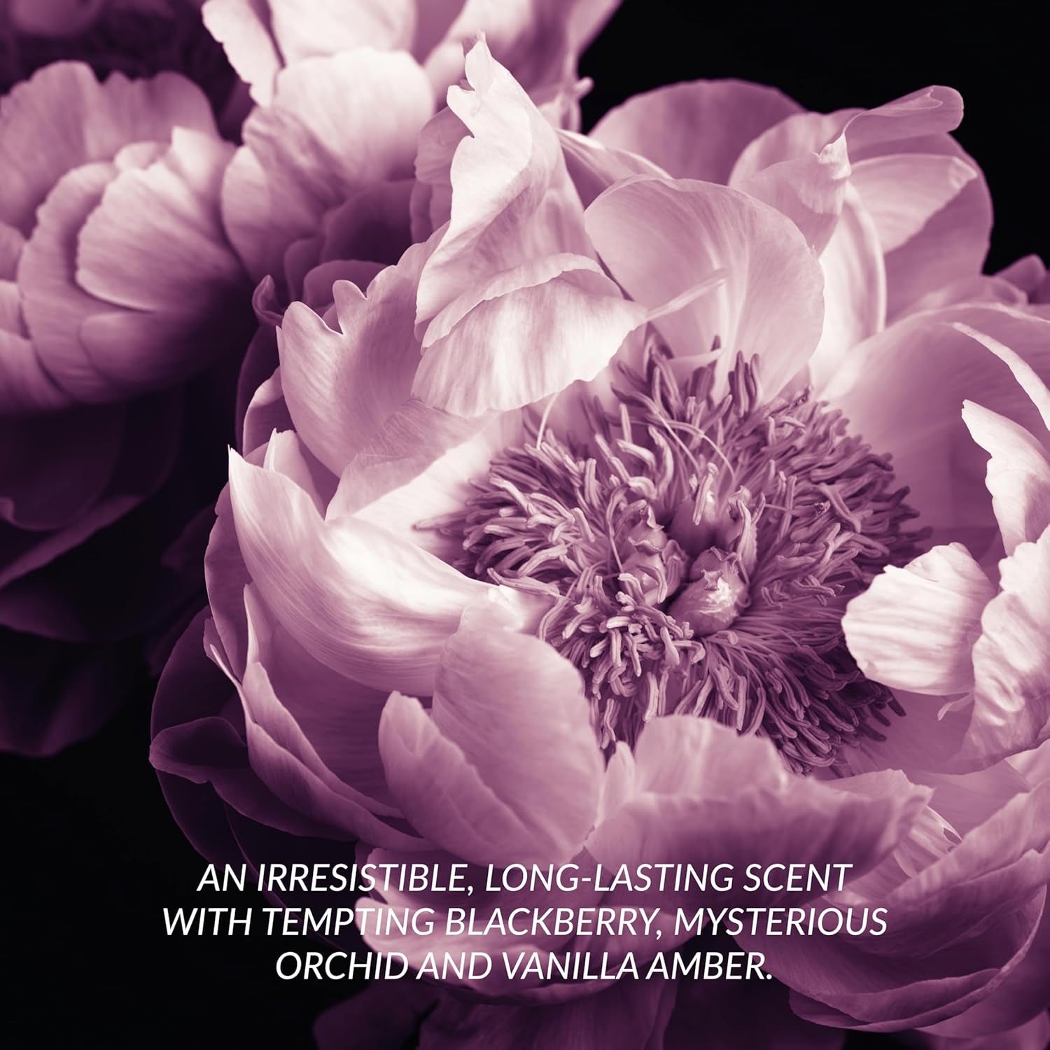 Attraction for Her Eau De Parfum 10Ml, Fruity and Musk Blend, Aphrodisiac in a Bottle, Perfect for on the Go, Cruelty Free