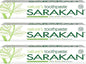 Nature’S Toothpaste (50 Ml) | Vegan Toothpaste | Fluoride Free | Suitable for Adults and Children - 3 Pack
