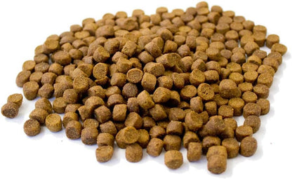 Premium Hedgehog Dinner: Nutrient-Rich Dry Hedgehog Food for Year-Round Feeding - 5L Tub