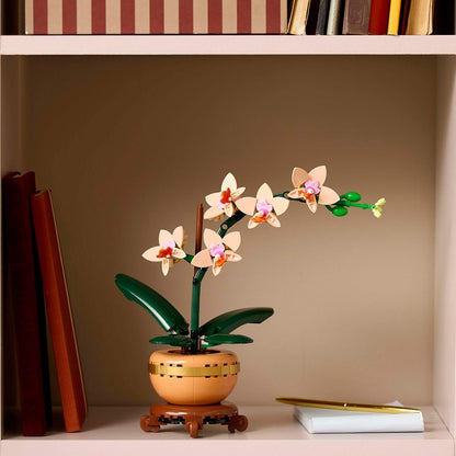 Botanicals Mini Orchid - Artificial Flowers Set for Adults - Indoor Plant with Terracotta Style Flowerpot - Home Decor - Gift for Valentine'S Day for Women and Men - 10343