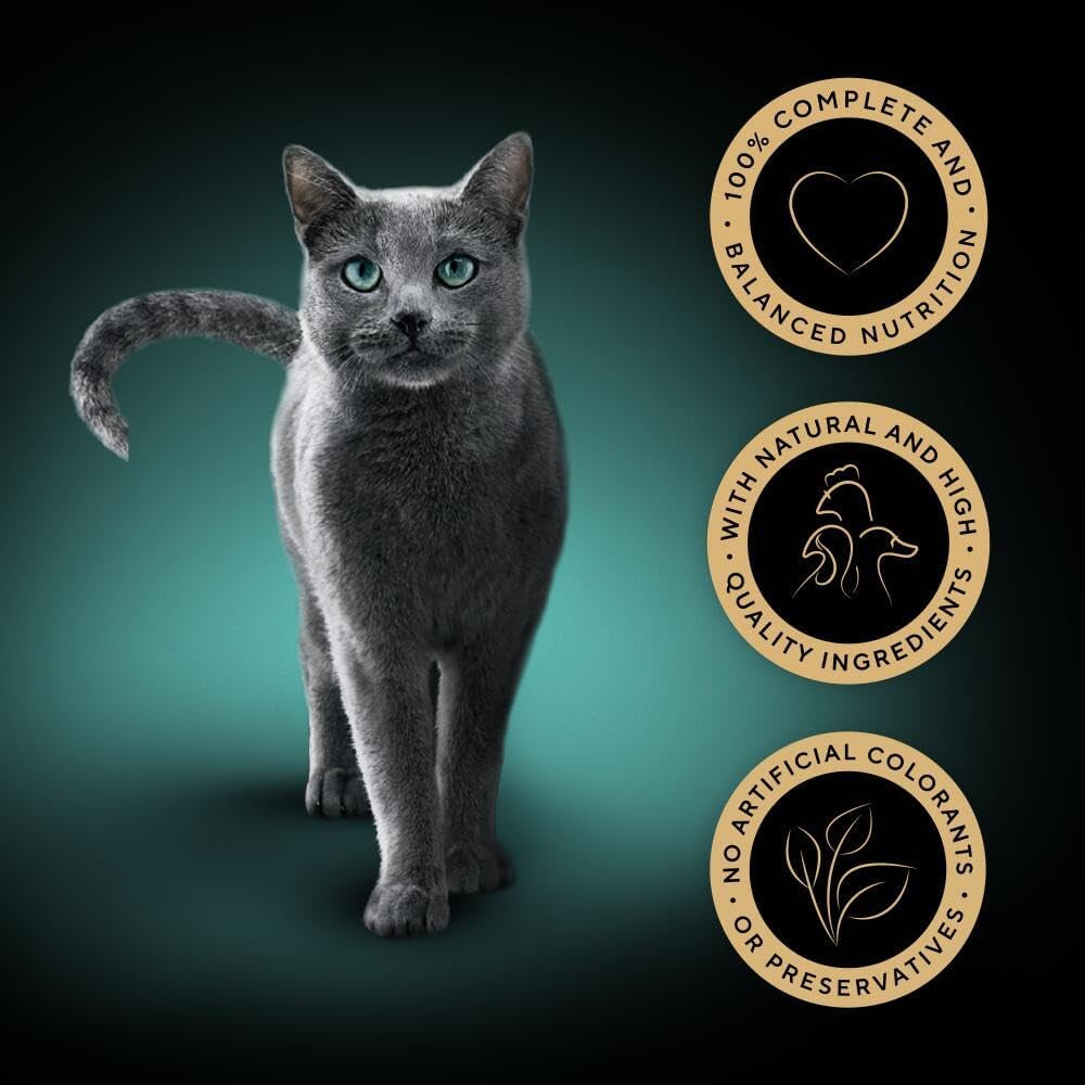Select Slices Poultry Adult Wet Cat Food Pouches 40 X 85 G, 40 Gravy Pouches, Bulk Cat Food Megapack