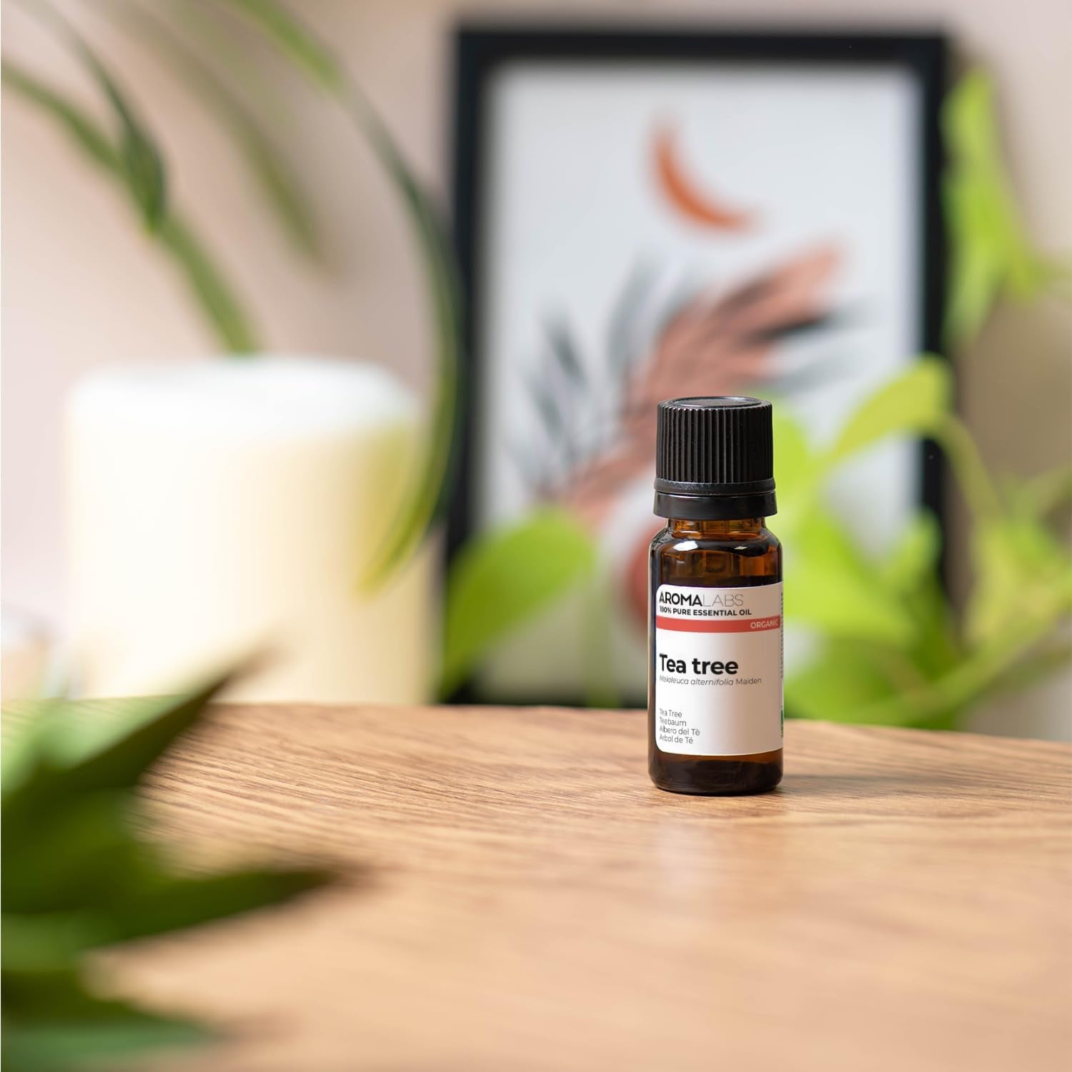 BIO - Tea Tree Essential Oil - 10Ml - 100% Pure, Natural, Chemotyped and AB Certified -  (French Brand)