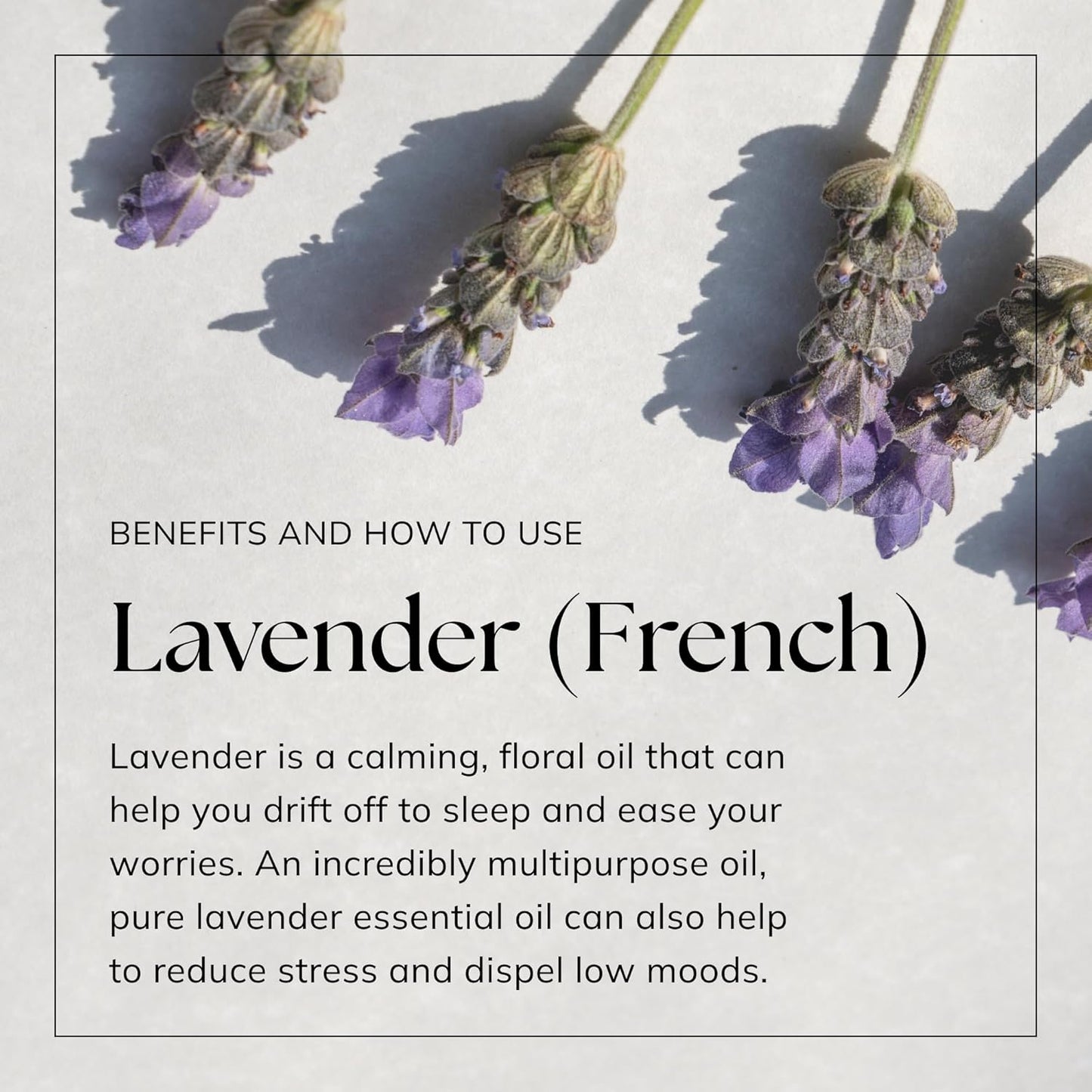 French Lavender Essential Oil - 10Ml | 100% Pure Natural Oils | Lavender Oil for Sleep, Aromatherapy, Diffusers for Home | Vegan & UK Made