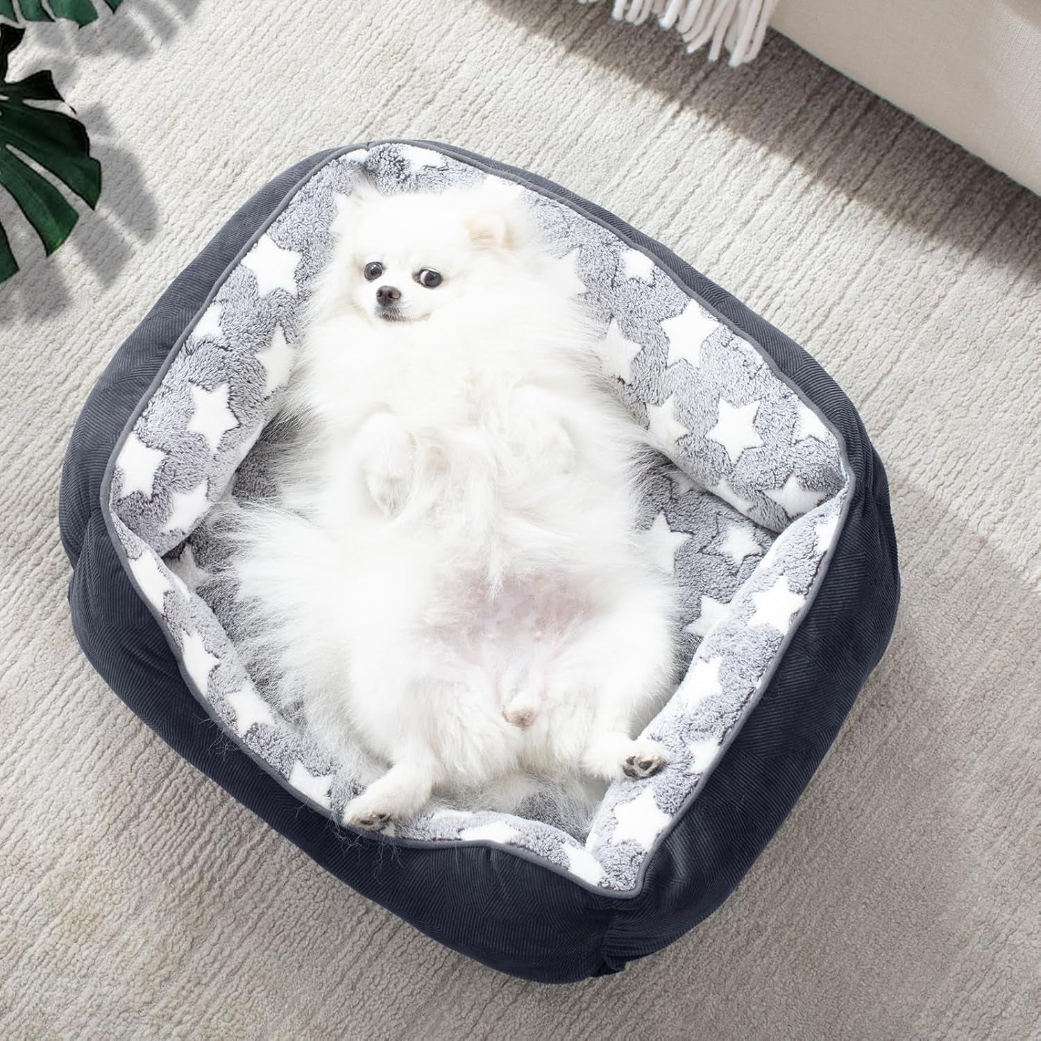 Medium Dog Bed Washable(64X53Cm), Super Soft Cosy Dog Beds Grey Pet Bed, Premium Grey Rectangle Puppy Bed for Small Medium Large Dogs, Ideal for Labrador, Chihuahua, Springer Spaniel, Etc