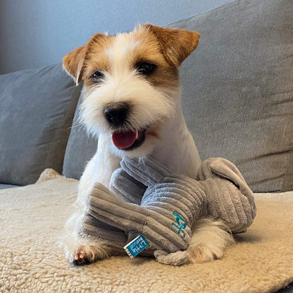 (Little ) Freddi Cord, Plush Puppy Dog Toy