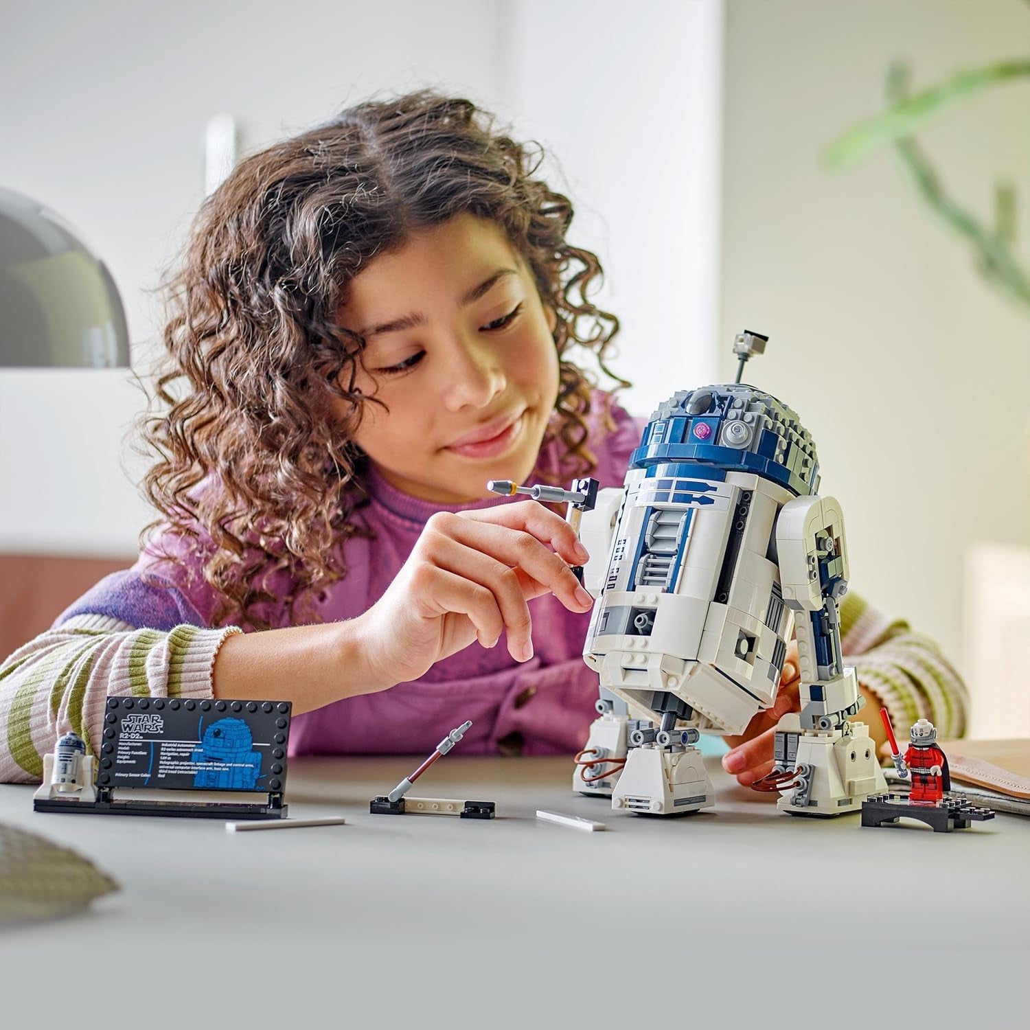 Star Wars R2-D2 Model Set, Buildable Toy Droid Figure for 10 plus Year Old Kids, Boys & Girls, with 25Th Anniversary Darth Malek Minifigure and Decoration Plaque, Memorabilia Gift Idea 75379