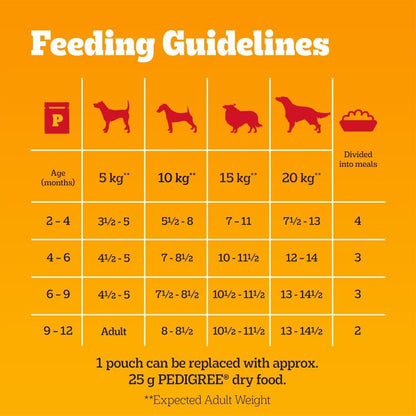 Junior Wet Dog Food for Young Dogs and Puppies, 12 Pouches (12 X 100 G)