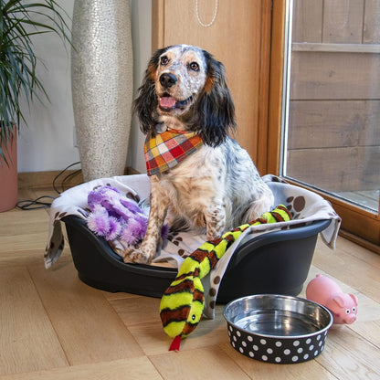 Plastic Dog Bed, Black, Small (60 Cm)