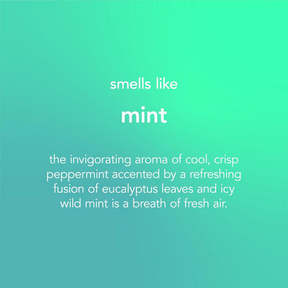 Glass Cleaner Spray, Window and Stainless Steel Glass Spray, Fresh and Vibrant Mint Scent, Pack of 1, 1 X 828 Ml