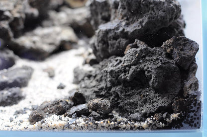 Polychrome - Natural Aquarium Gravel, Decorative Soil, Sand and White Gravel, Grains 3-4 Mm, 2 KG