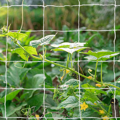 Plant Support Climbing Garden Trellis Netting Grow Tents 5Ft X 30Ft, Heavy-Duty Polyester Garden Plant Climbing Net Soft Mesh Twine