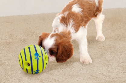 Allstar Innovations Ball, Dog Toy, as Seen on TV