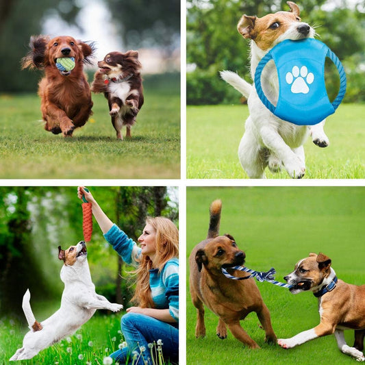 Dog Toys Puppy Chew Toys from 8 Weeks,Dog Rope Toys 100% Natural Cotton Rope for Small and Medium Dog (10 PCS)