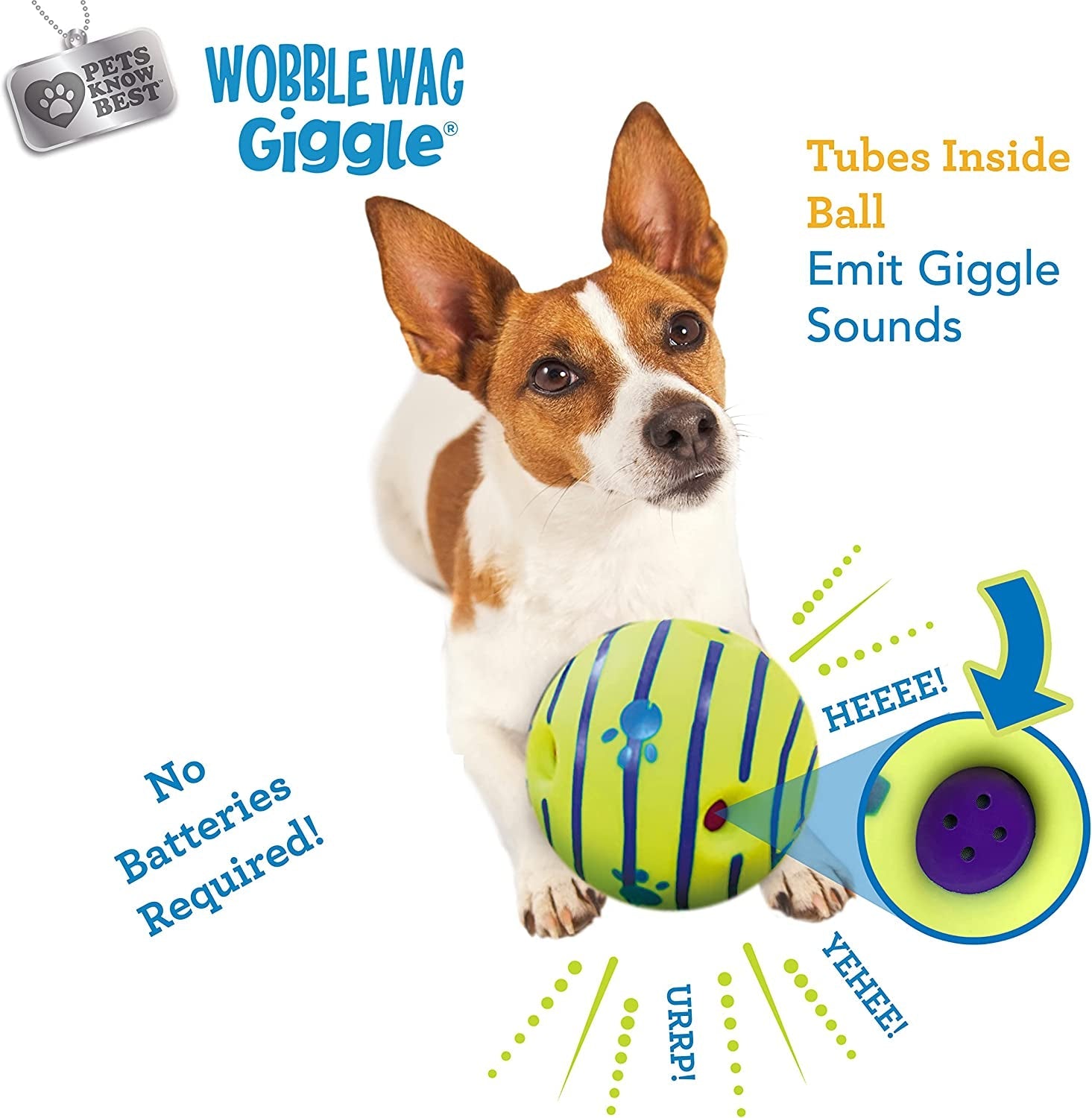 Allstar Innovations Ball, Dog Toy, as Seen on TV