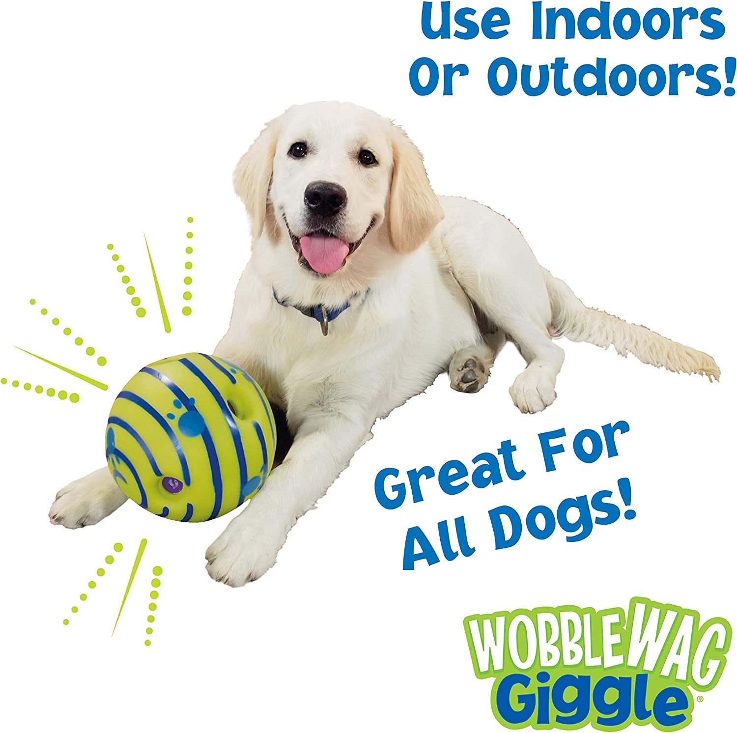 Allstar Innovations Ball, Dog Toy, as Seen on TV