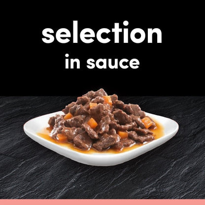 Adult Dog Pouches Sauce Selection in Gravy 40X100G