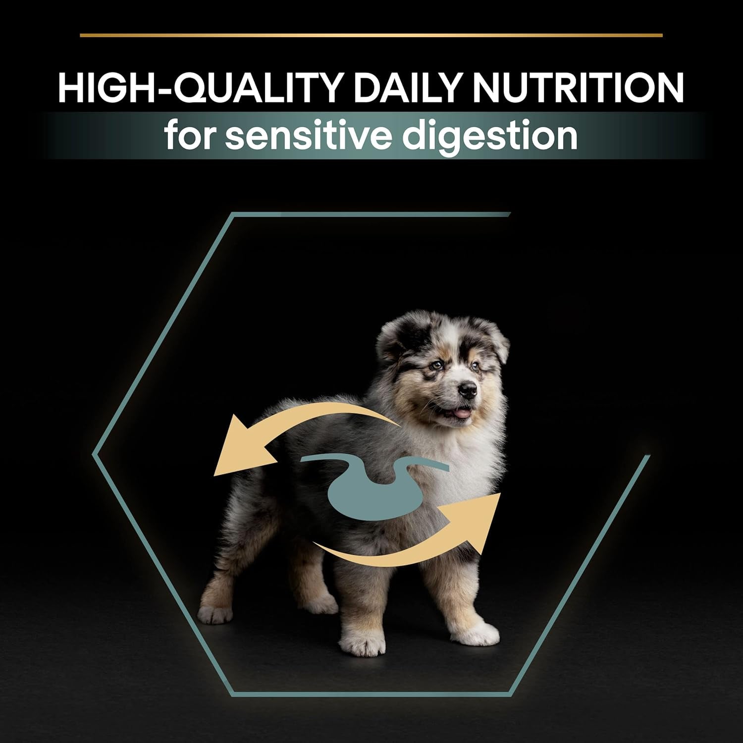 Sensitive Digestion Medium Puppy Dry Dog Food Lamb 3Kg, for Neutered Dogs